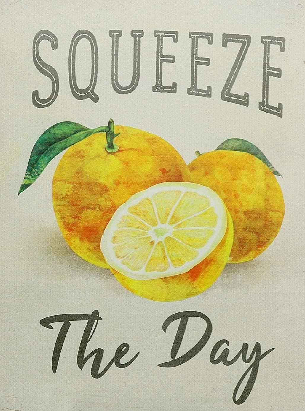 Starotore Squeeze The Day Vint - Home Bar And Coffee 评论和价格
