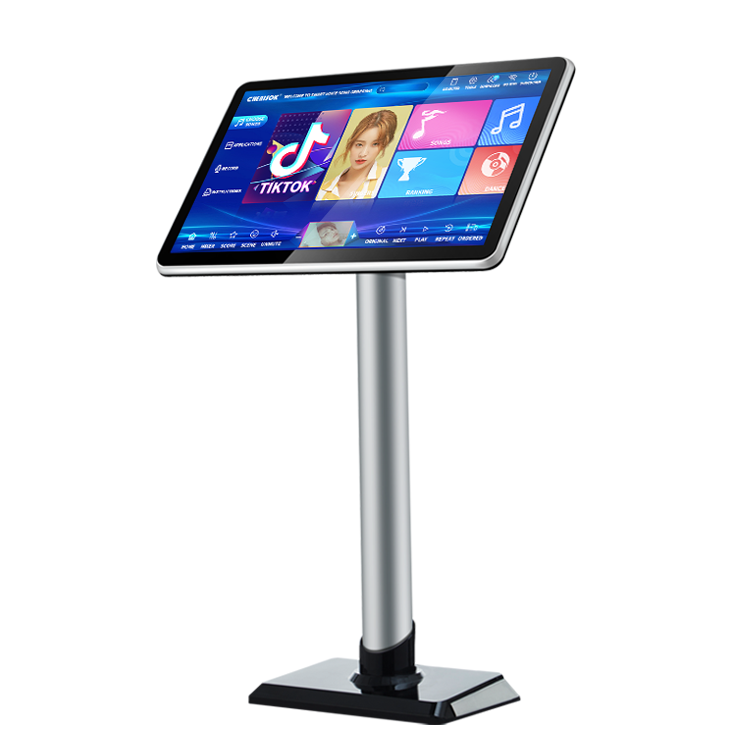 40W Chinese Karaoke Player Mac - Home Bar Android 评论和价格