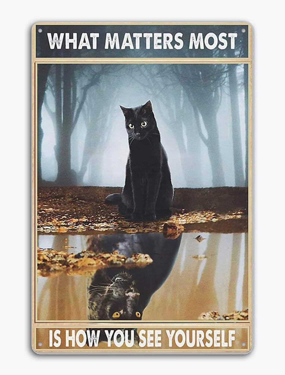 Black Cat Retro Metal Tin Sign - Home Bar And Coffee 评论和价格